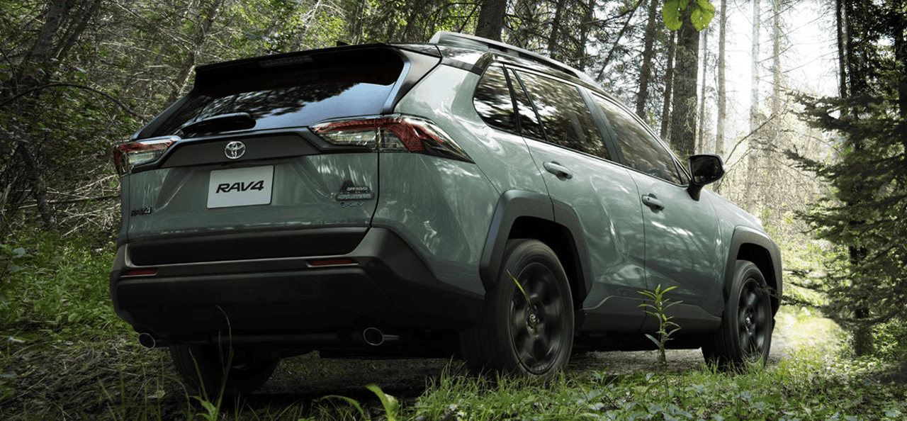 RAV4リアカット