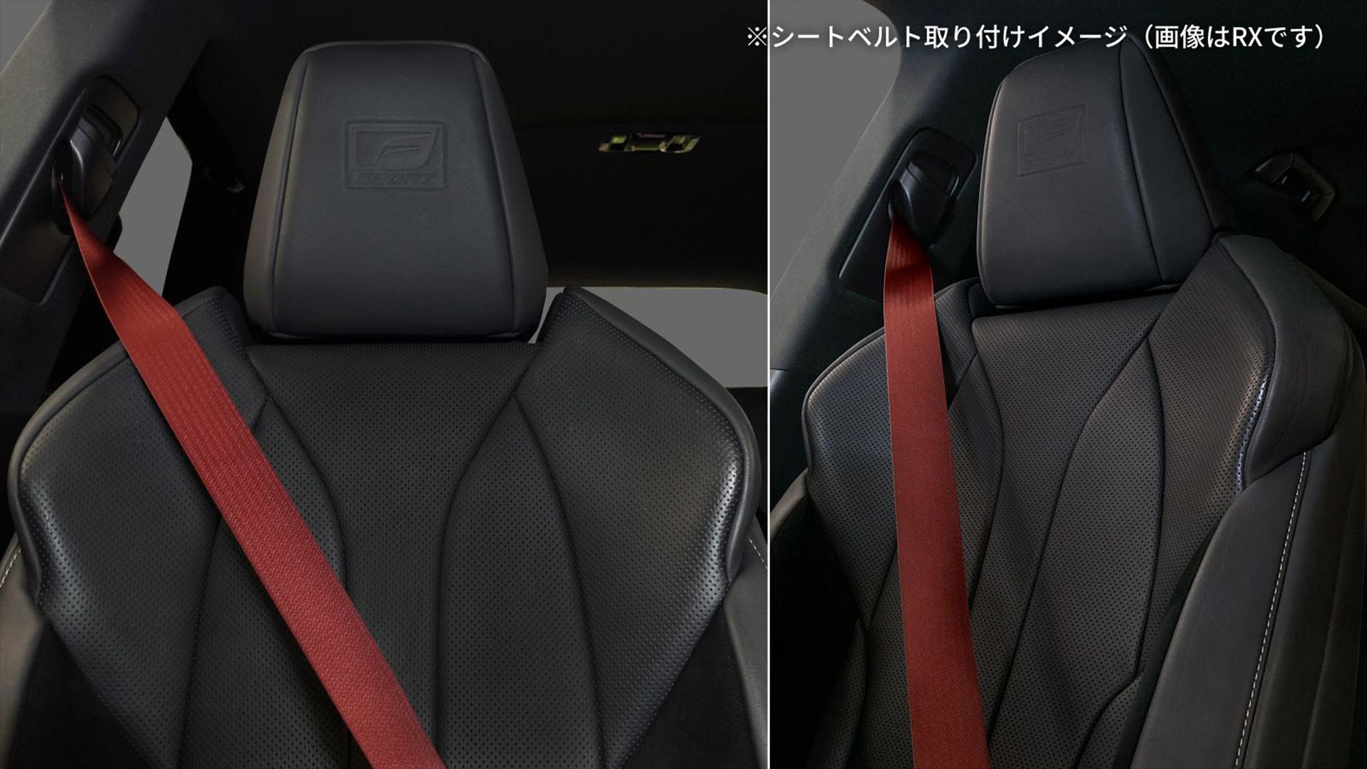 カラードシートベルト装着イメージ