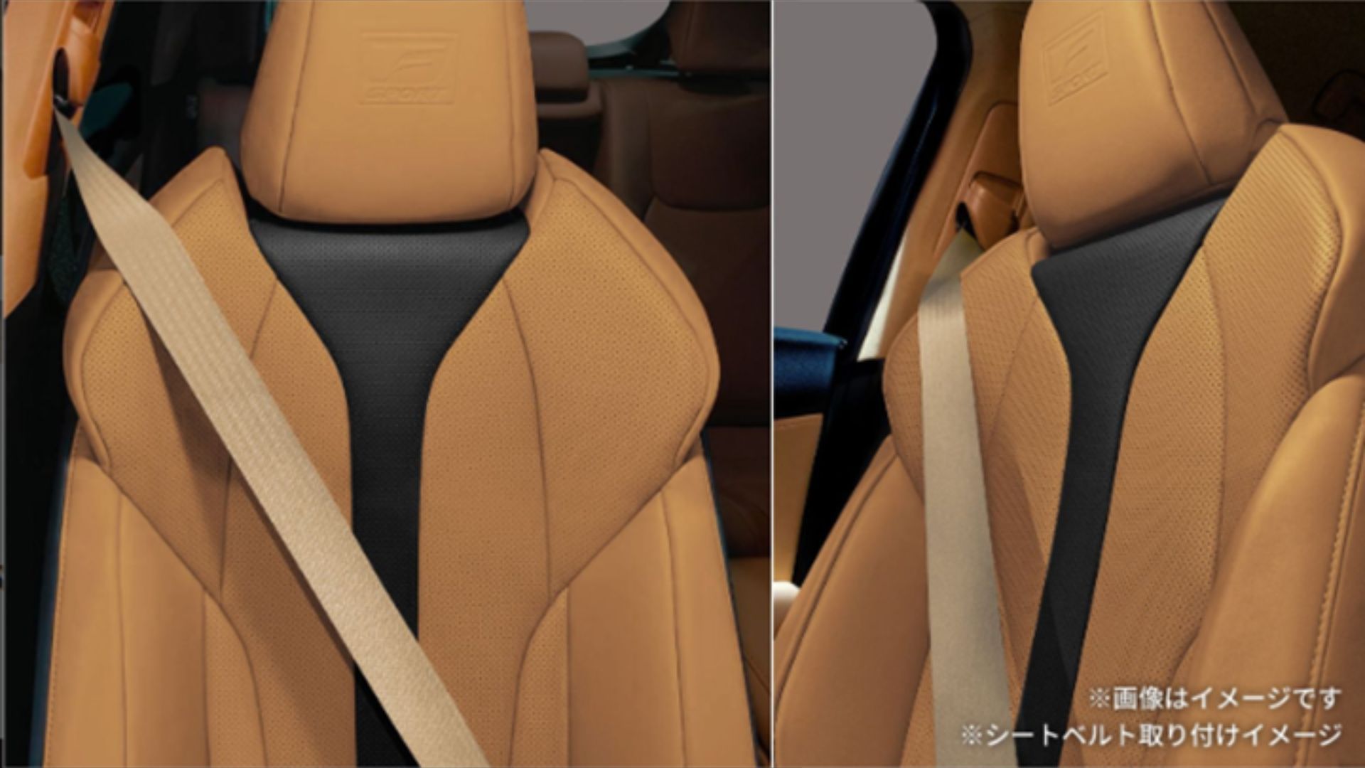 11_カラードシートベルト