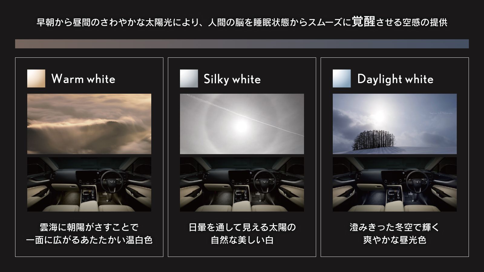 260527_テーマカラー_覚醒.jpg