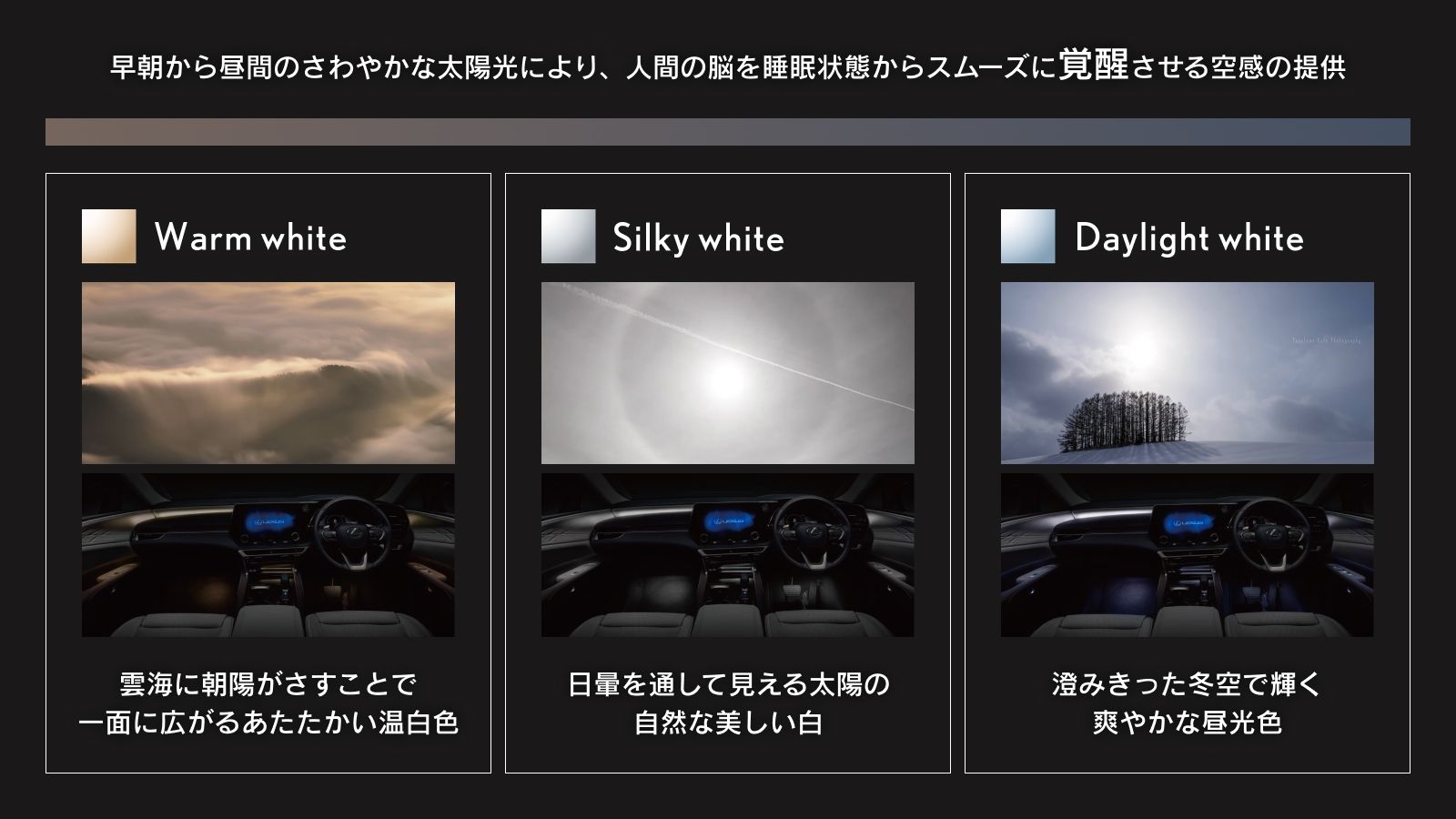 261021_RXイルミ_覚醒.jpg