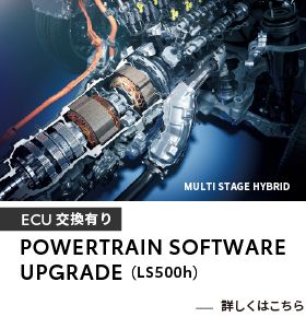 POWERTRAIN SOFTWARE UPGRADE1