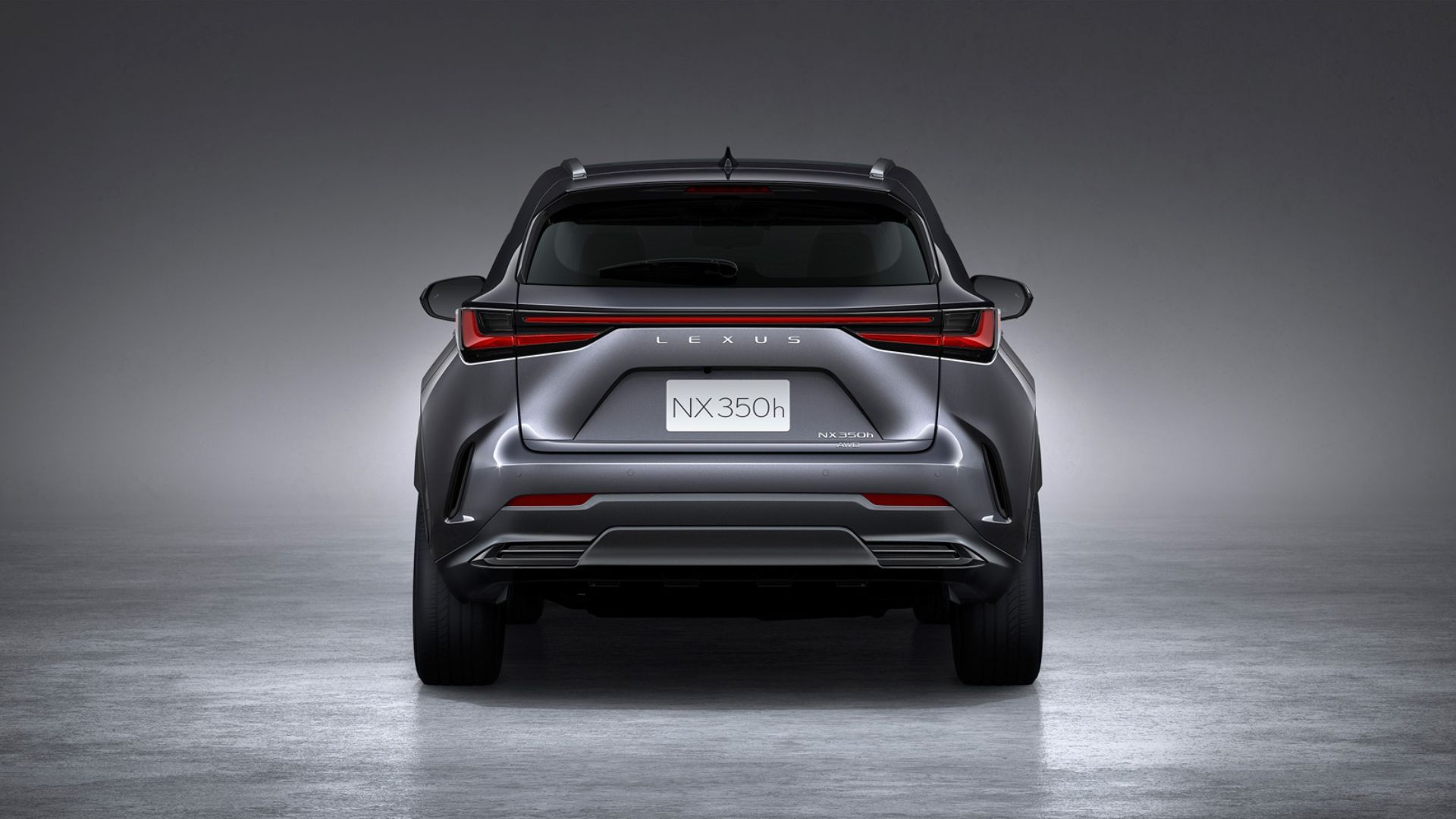 NX350h.jpg