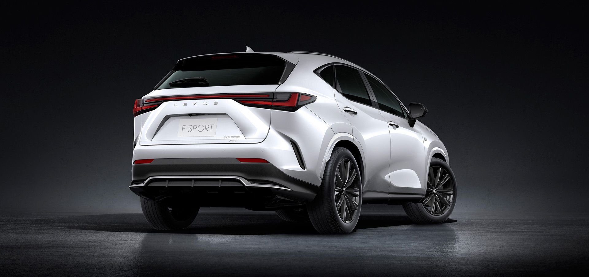 NX F SPORT(リヤビュー).jpg