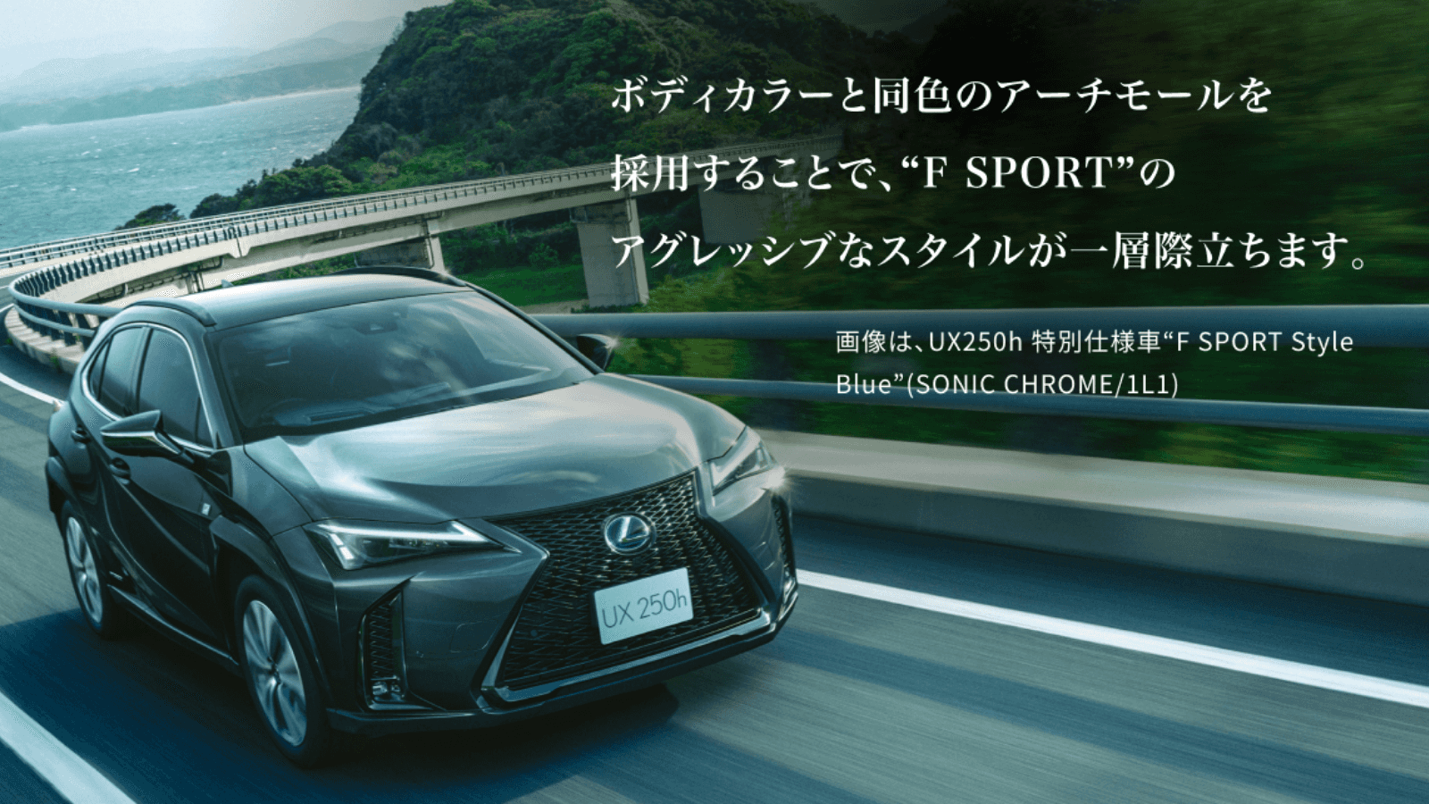 LEXUS UX カラードアーチモール レクサス純正品 1台分 4点セット 新品
